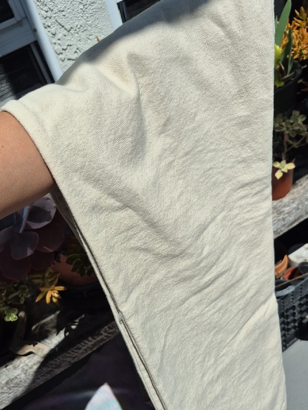 PacSun Straight 100% Cotton Pants Cream Tan - Picture 12 of 12